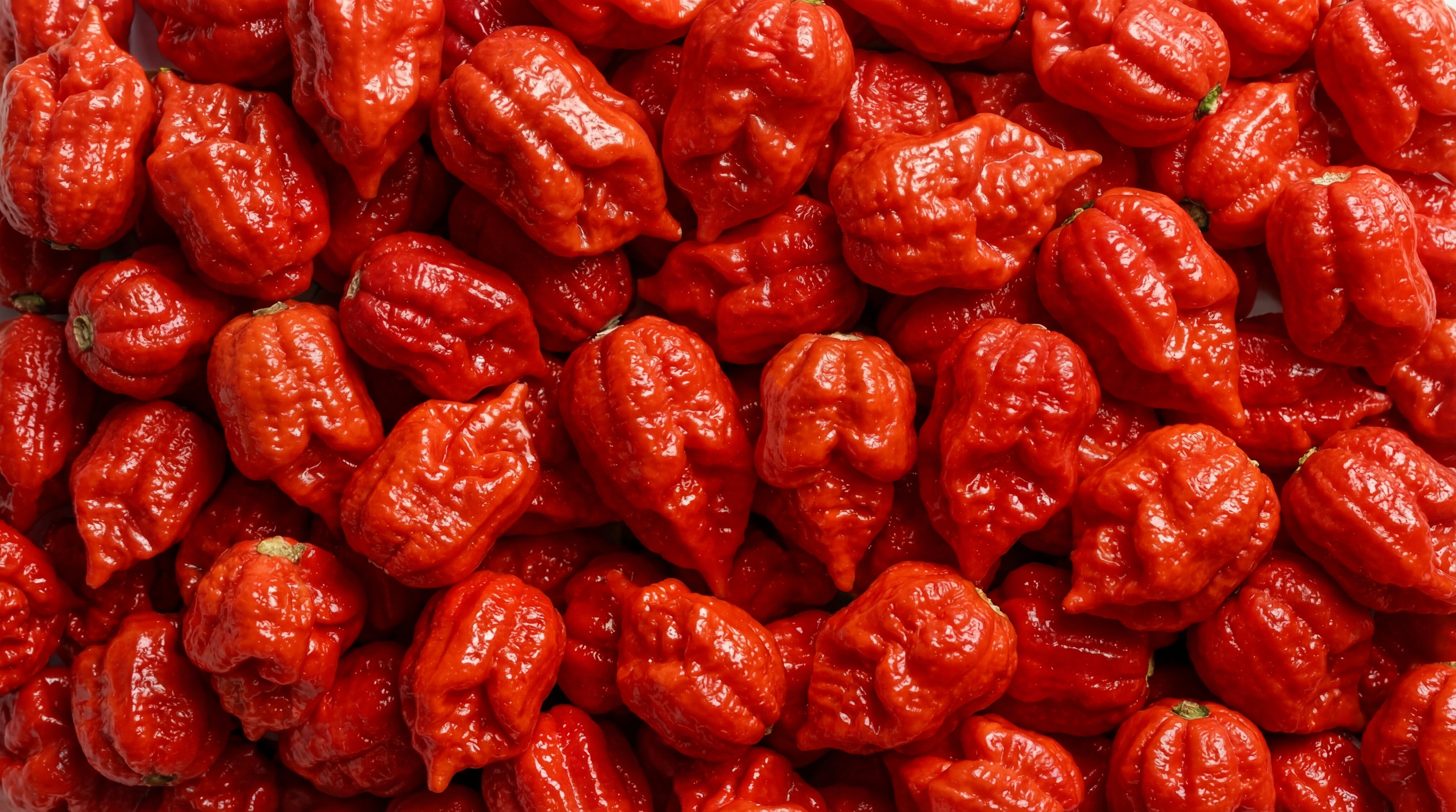 Close-up GHOST PEPPERS